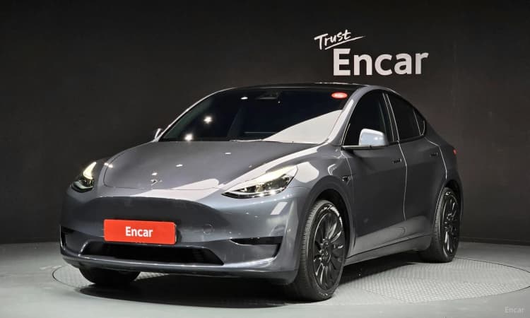 Model Y