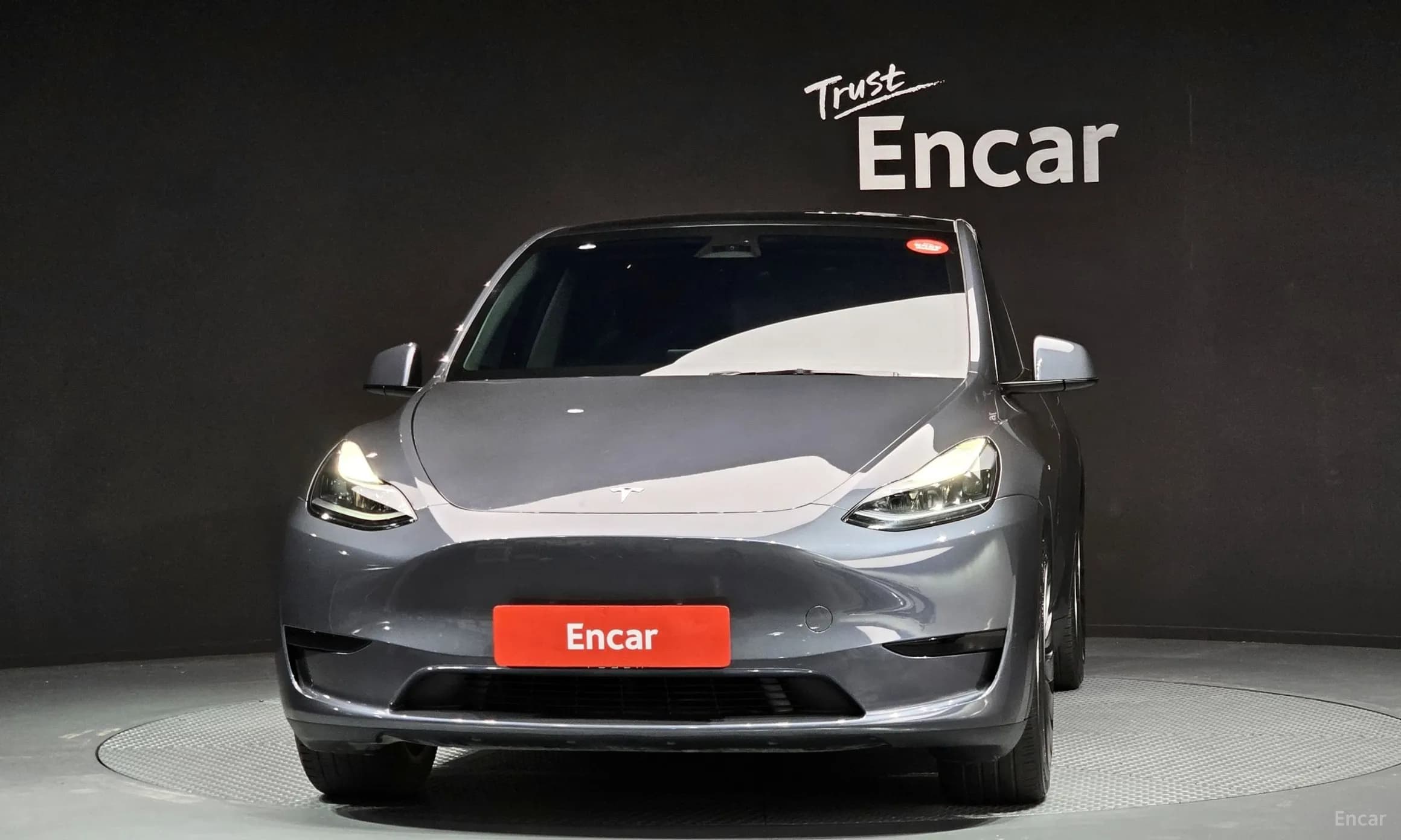 Model Y
