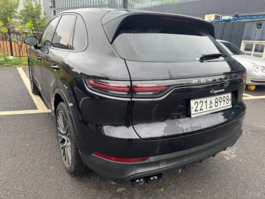 Cayenne (PO536)