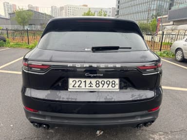 Cayenne (PO536)