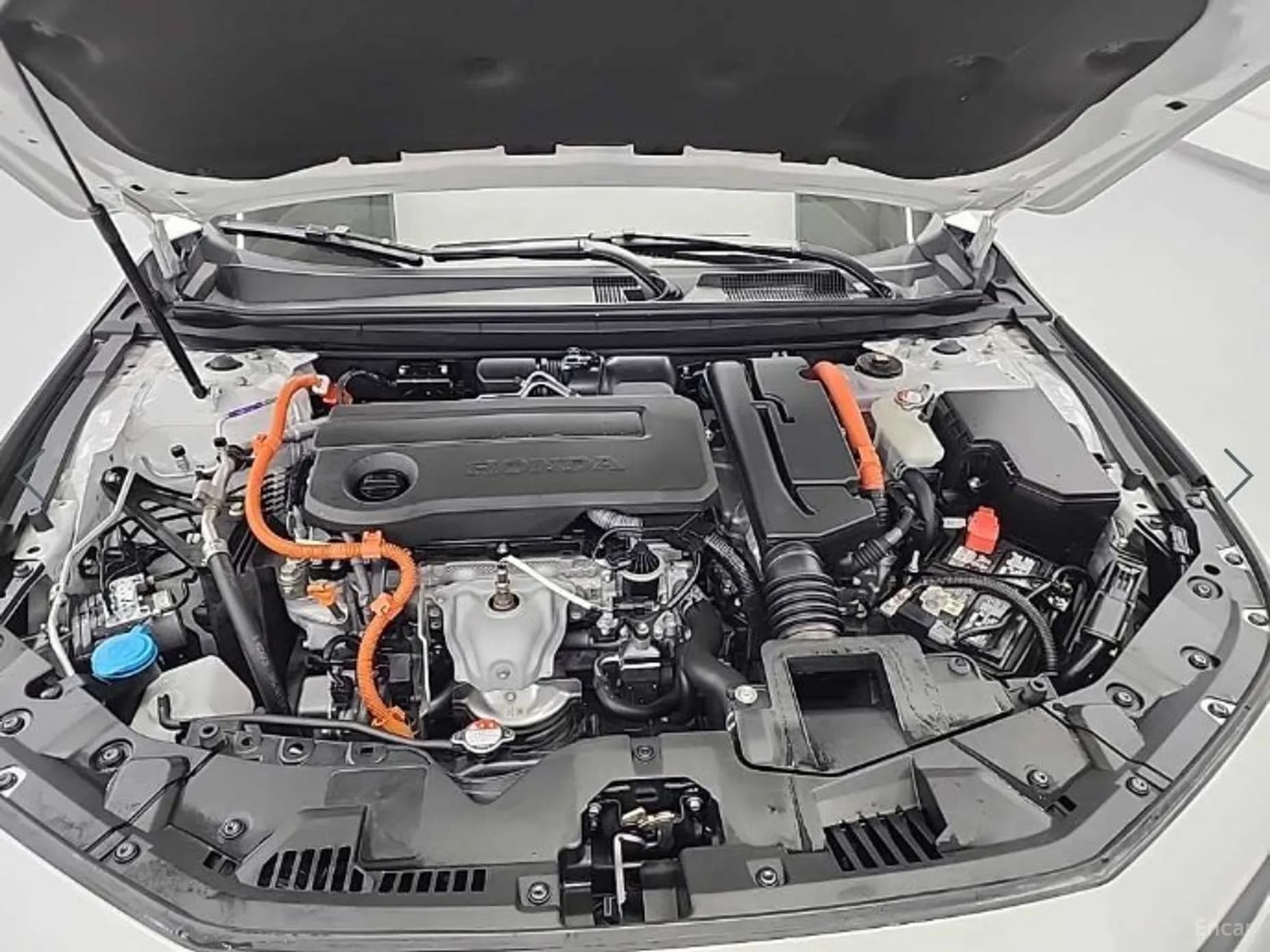 Accord 11th Generation