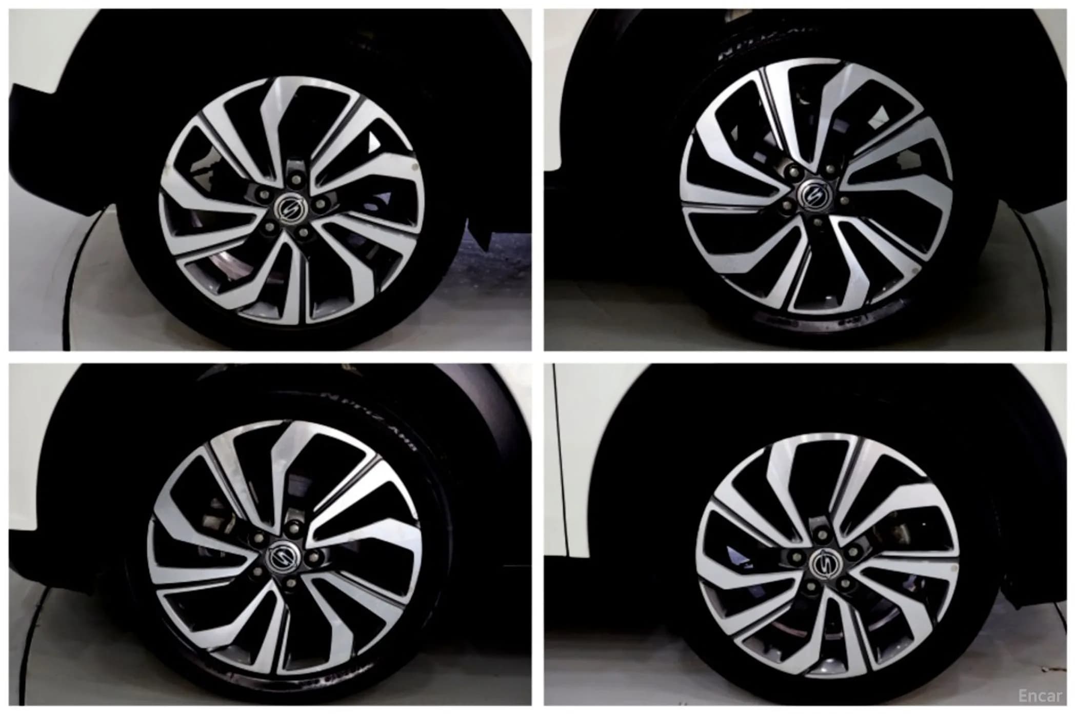 Berry New Tivoli
