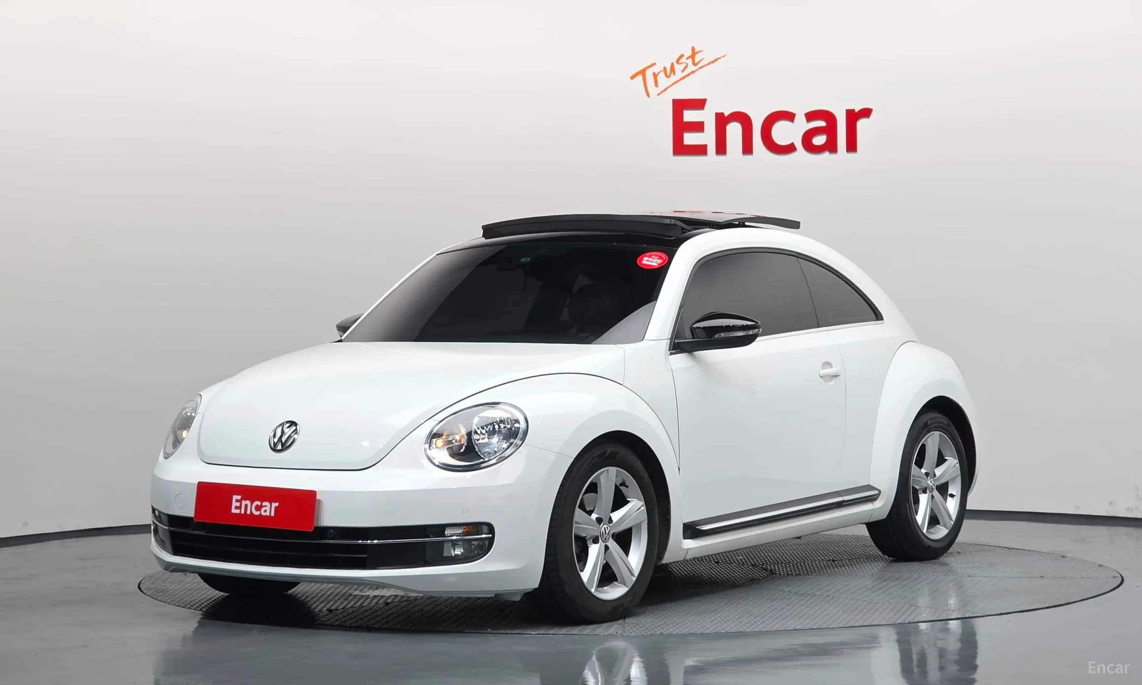 The Beetle