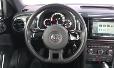 The Beetle