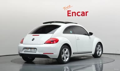 The Beetle