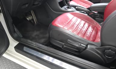 The Beetle