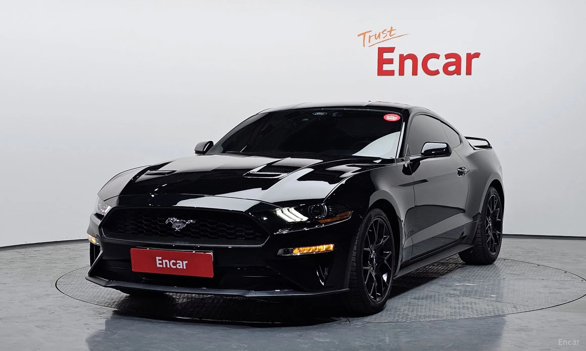 Mustang