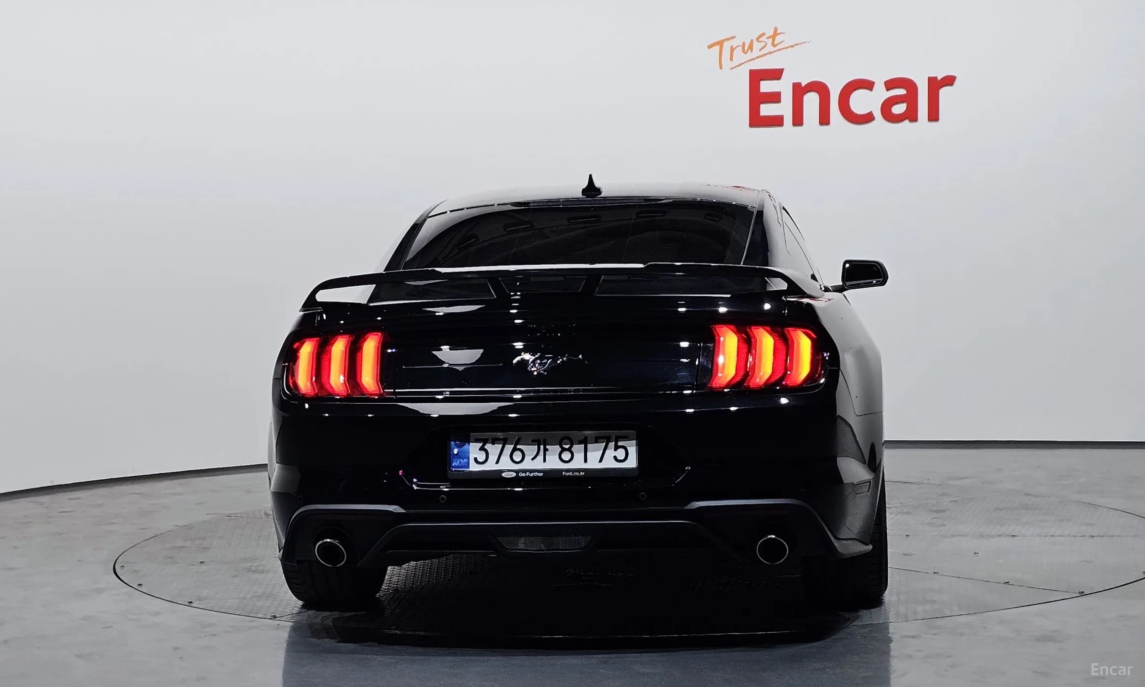 Mustang