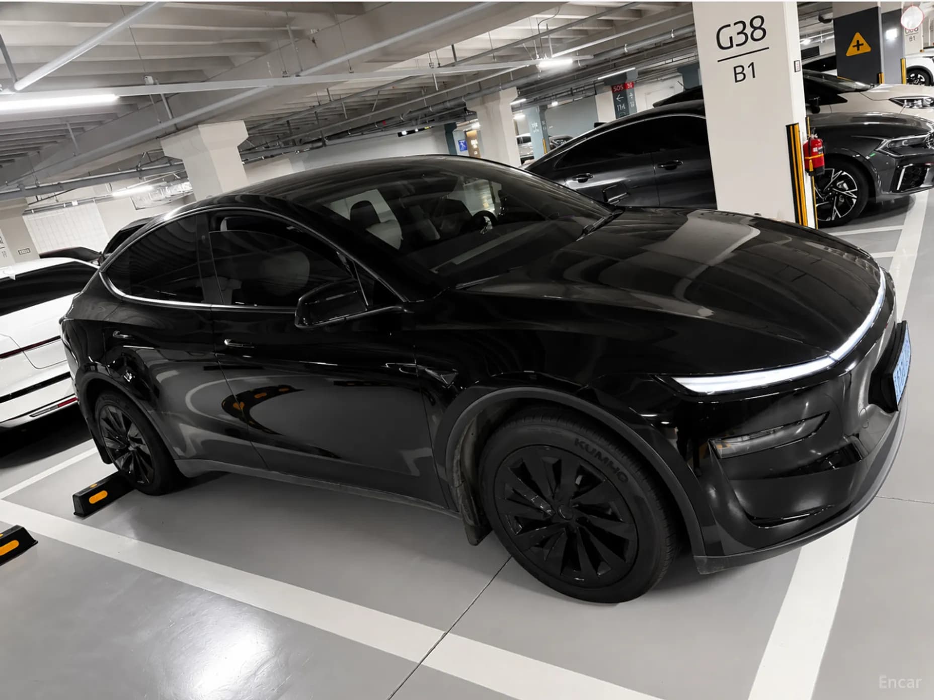 Model Y