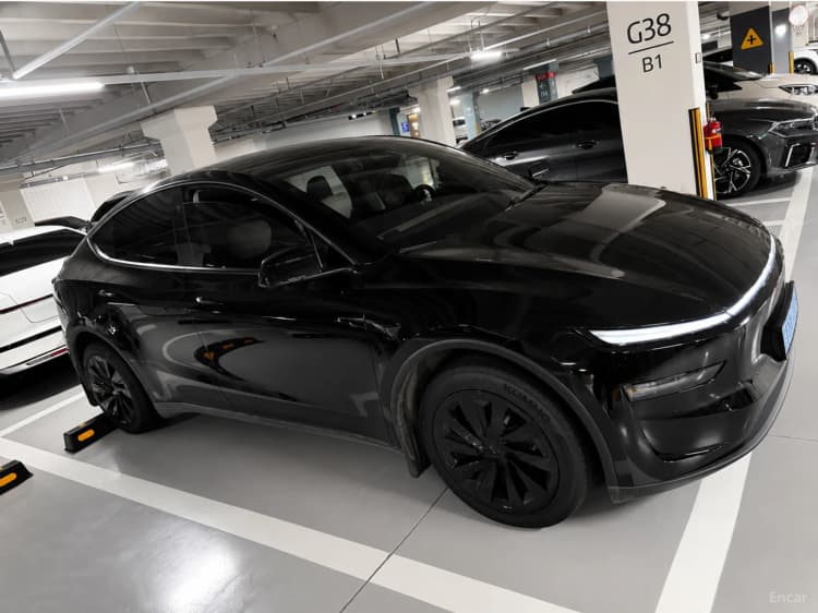 Model Y