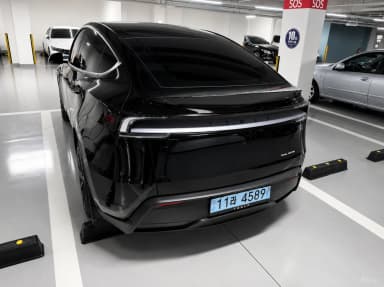 Model Y