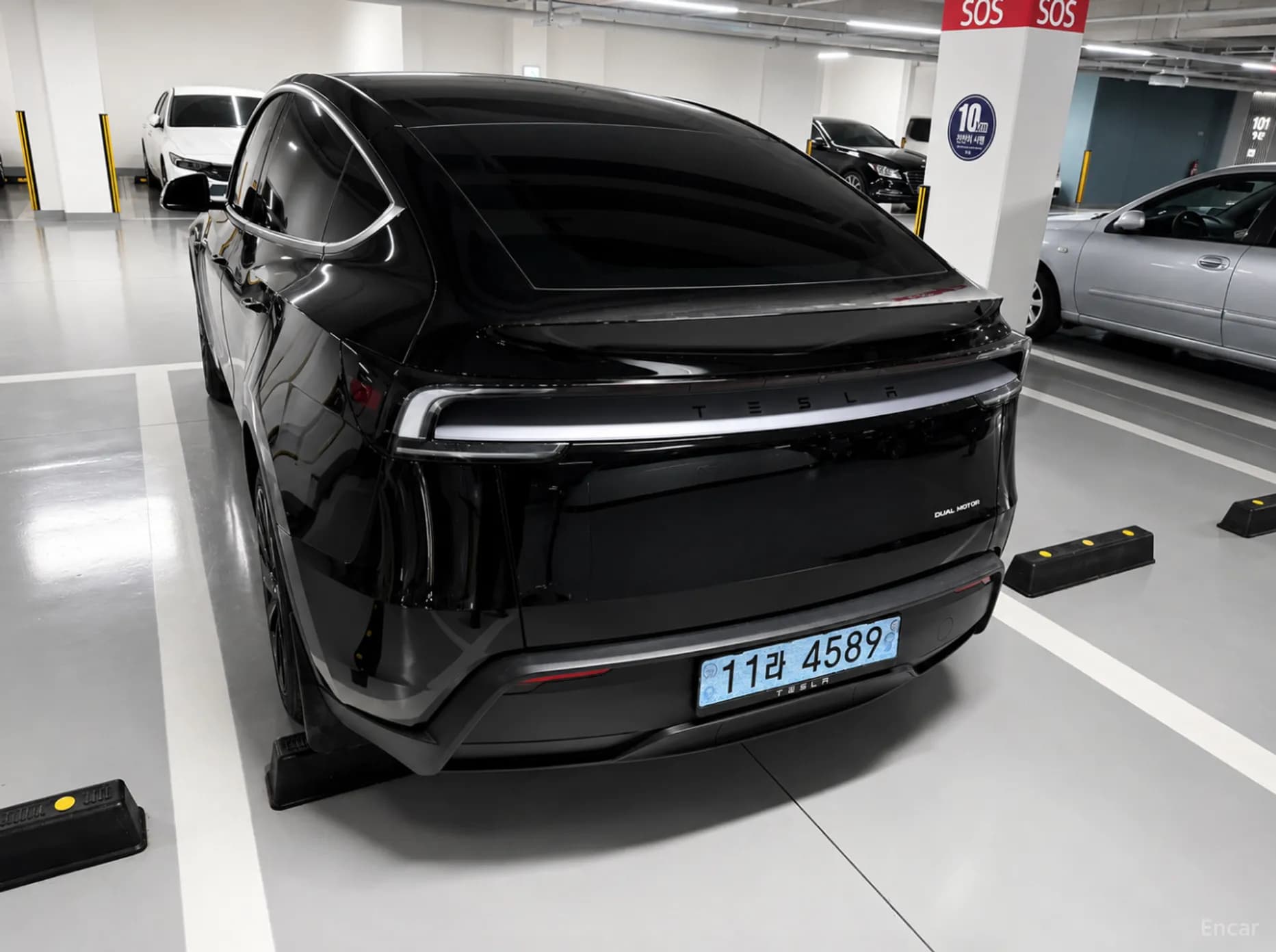 Model Y