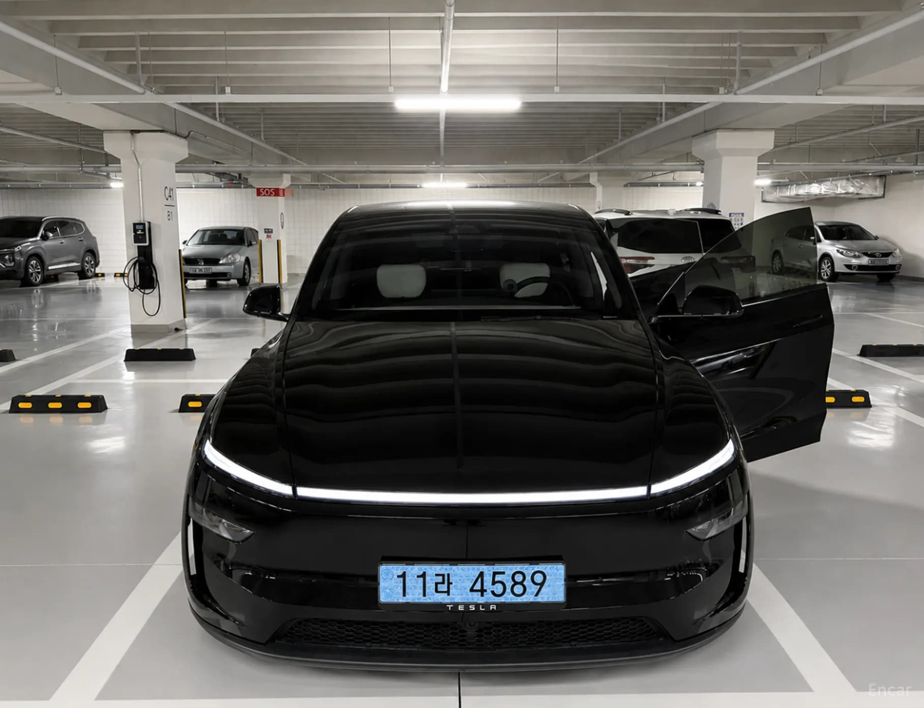 Model Y