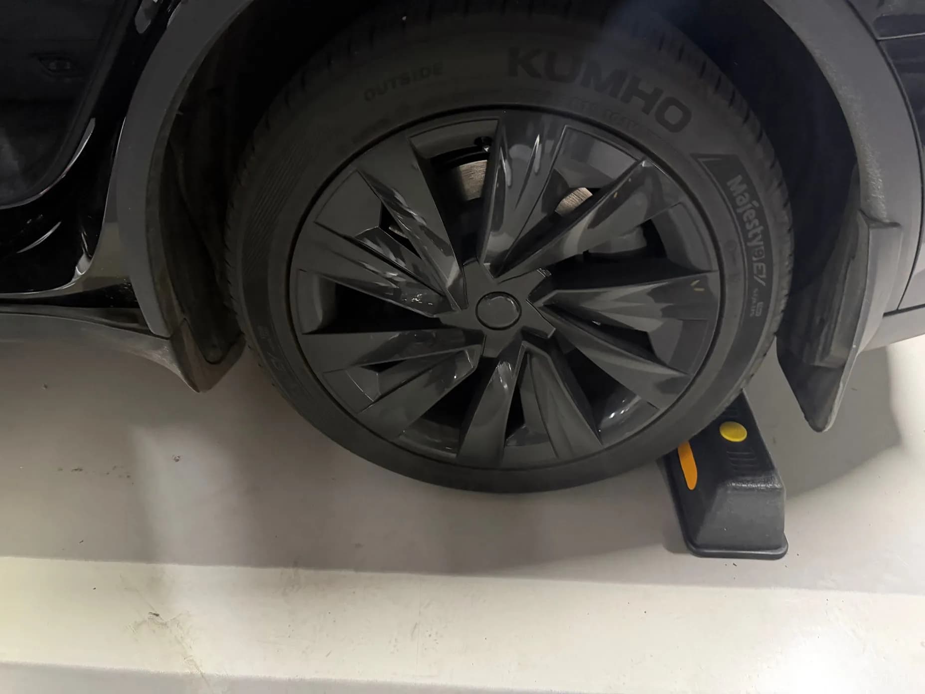 Model Y