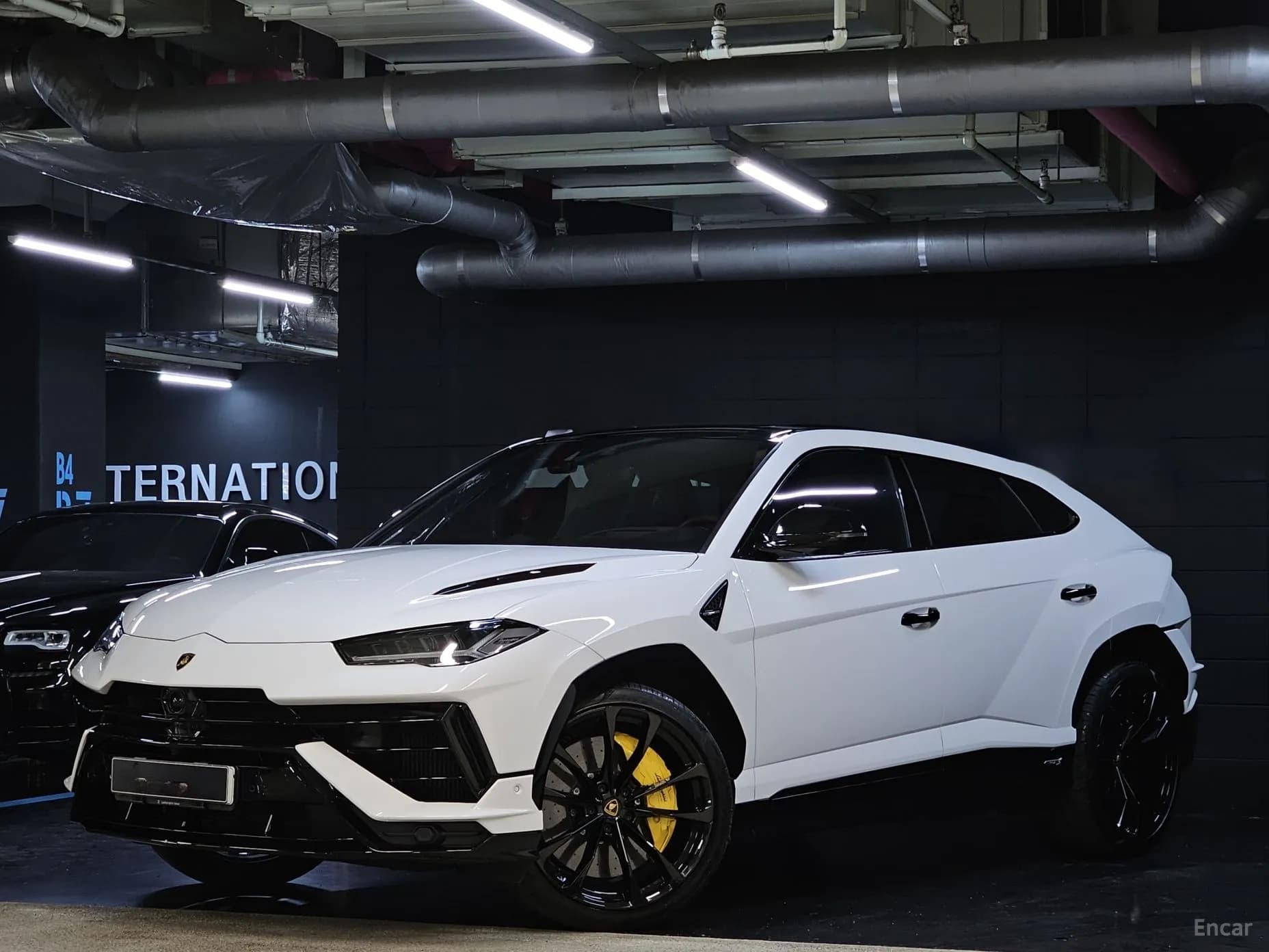Urus