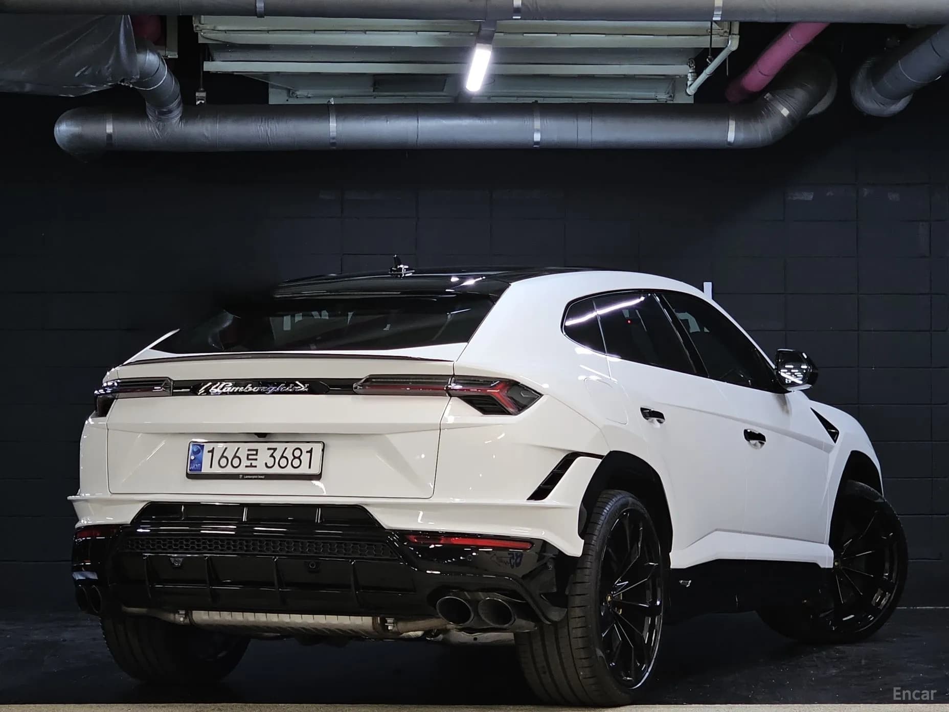 Urus