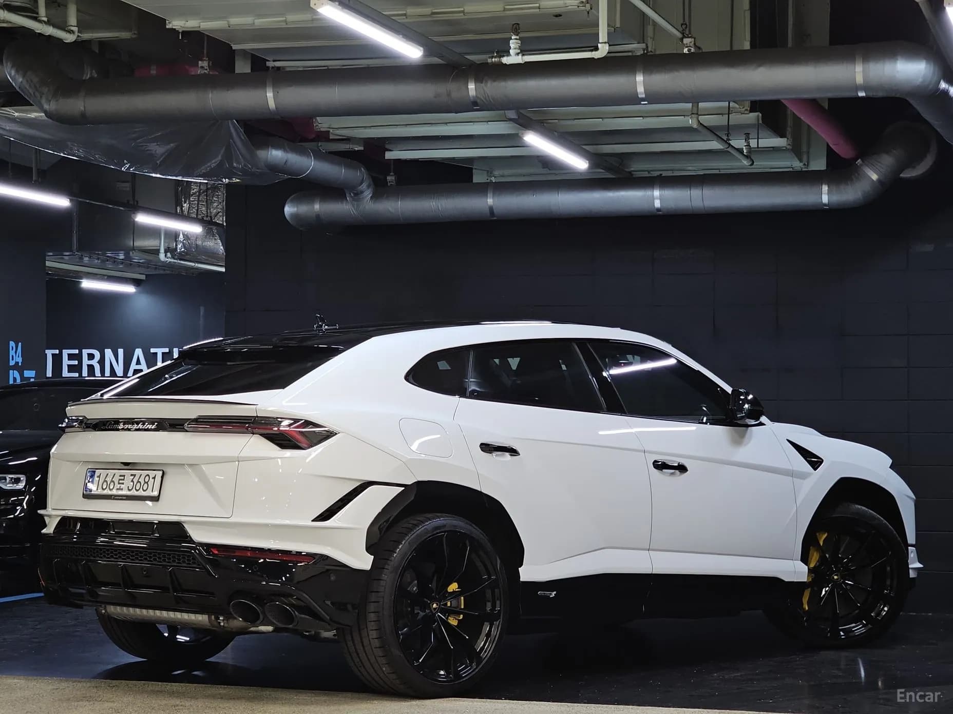 Urus