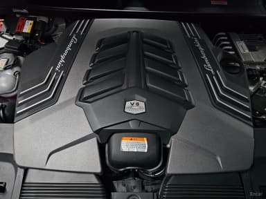 Urus
