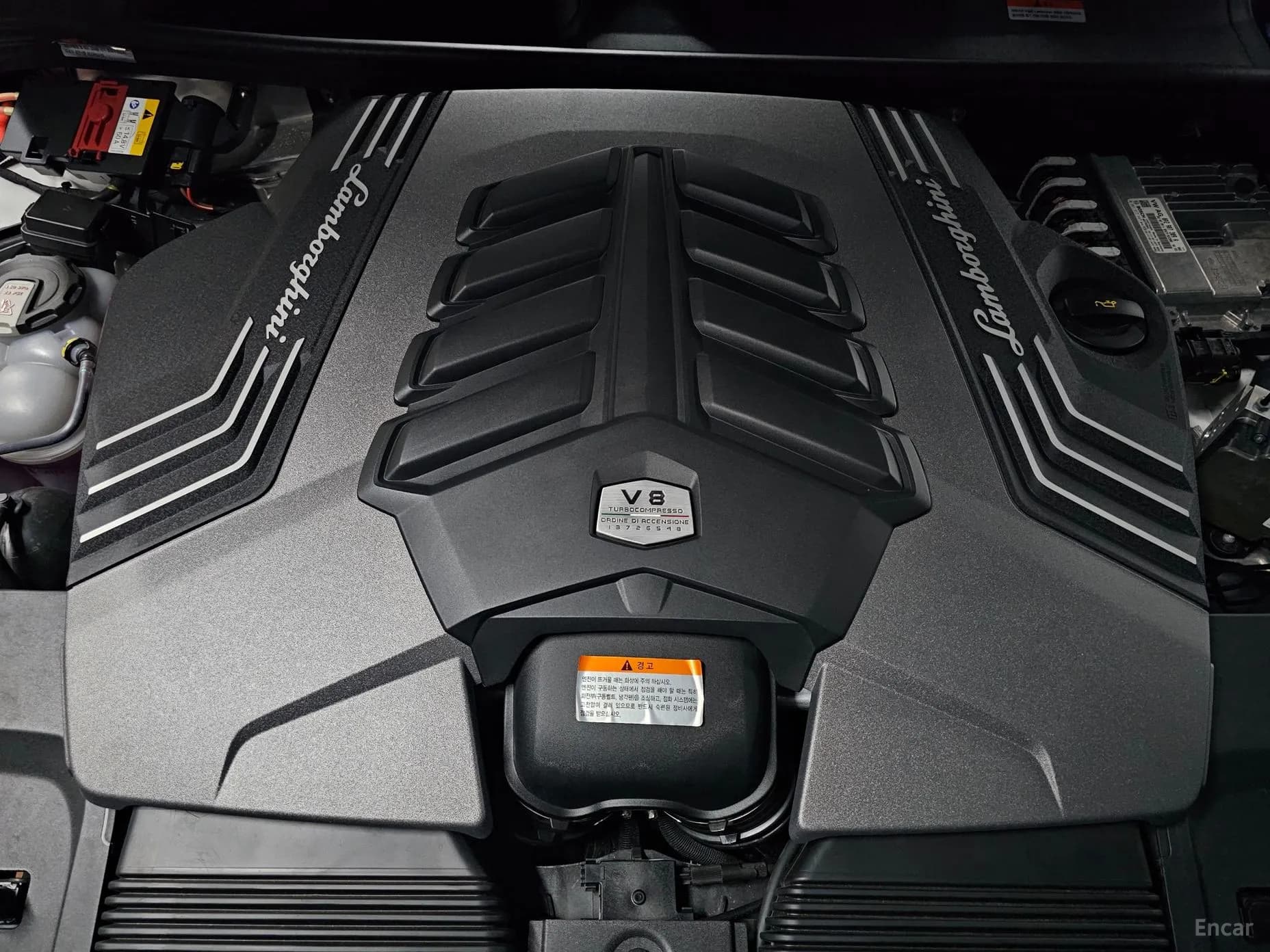 Urus
