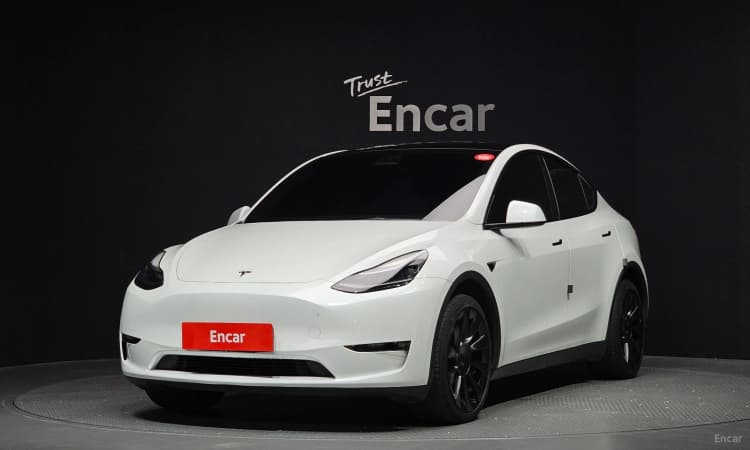 Model Y