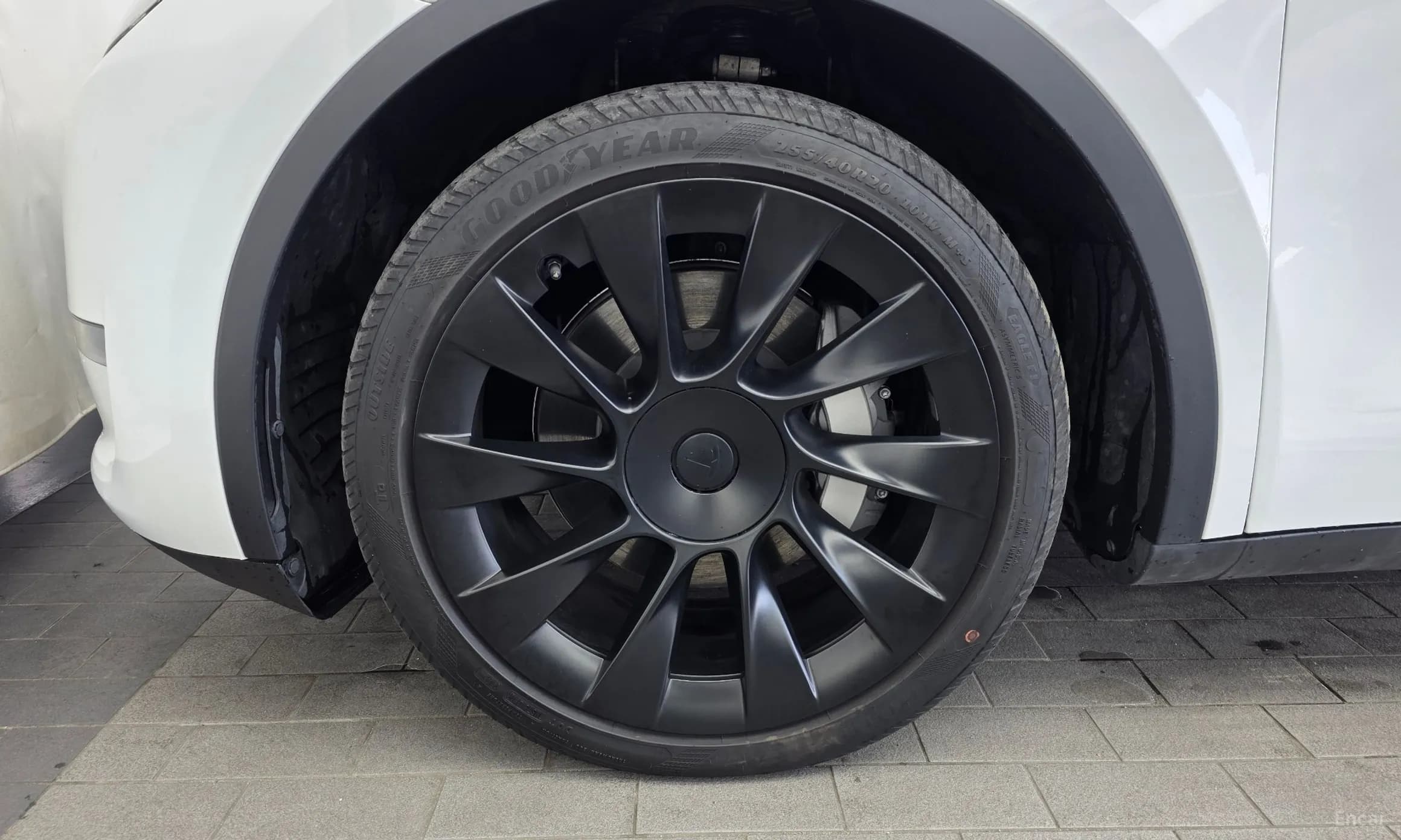Model Y