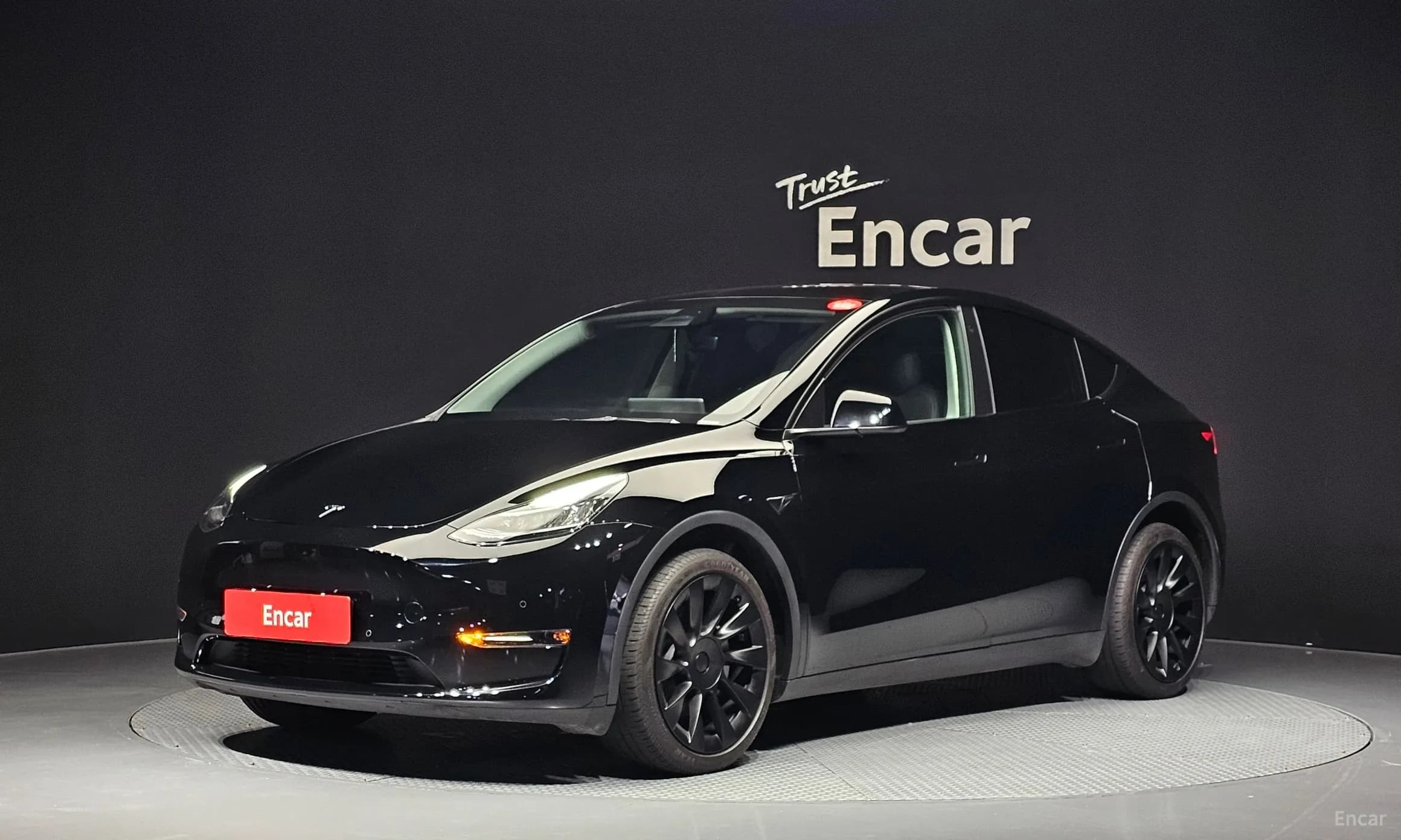 Model Y