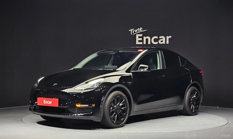 Model Y