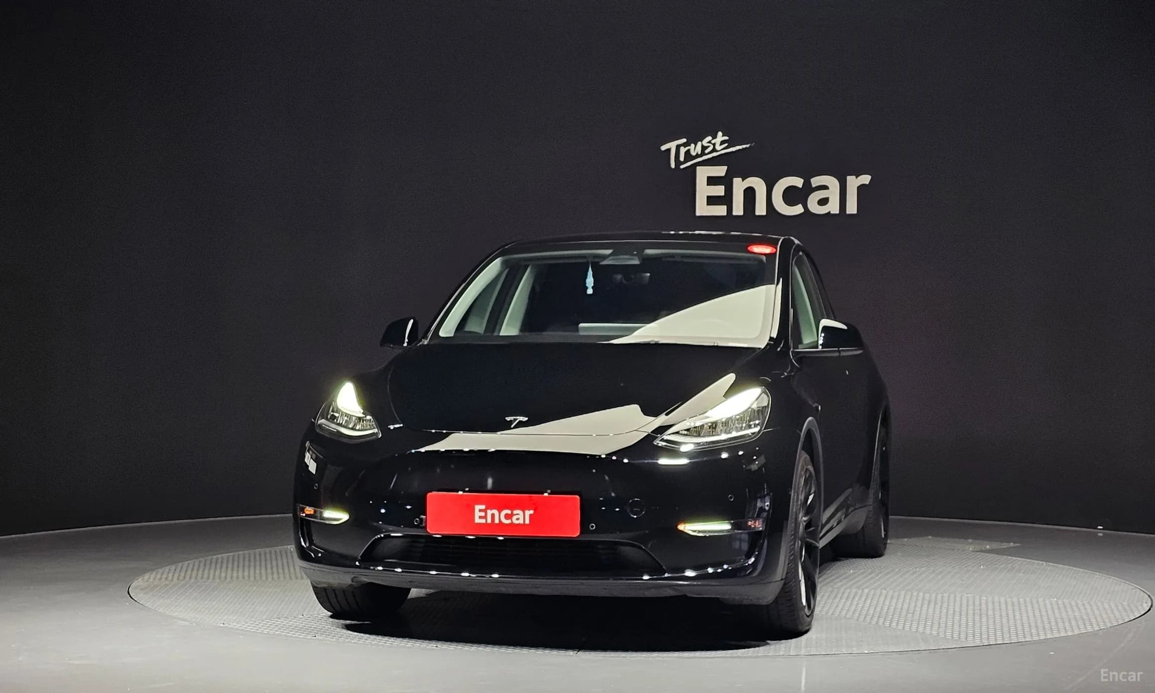 Model Y