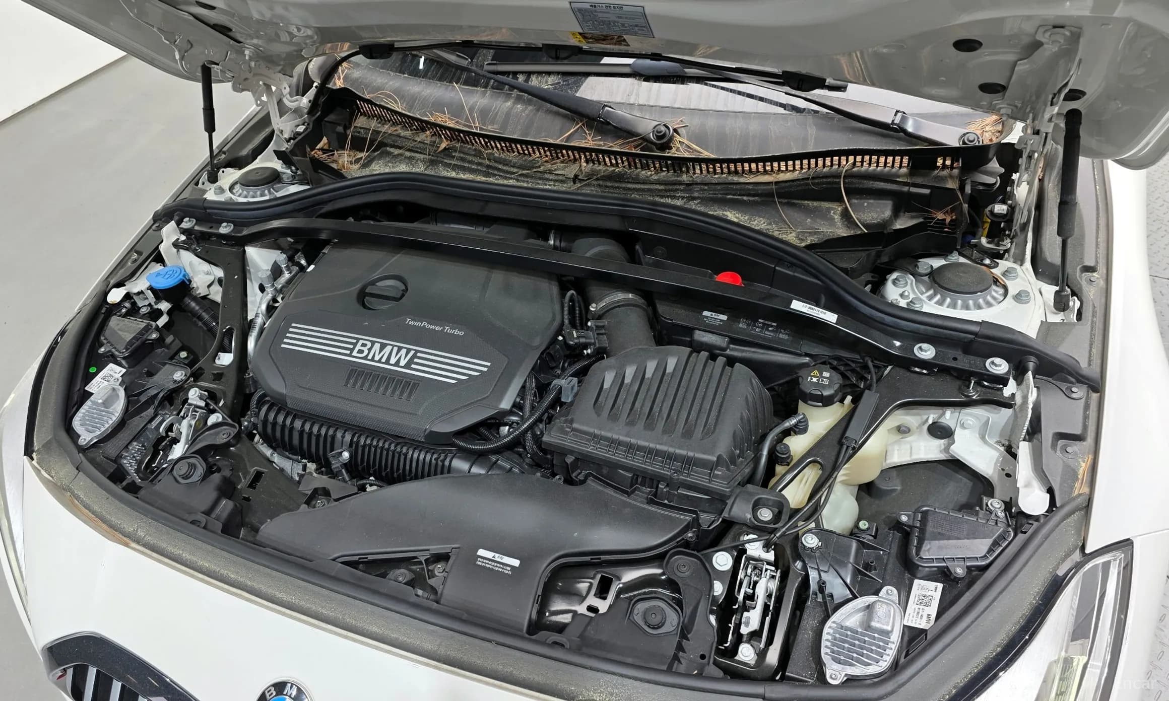 1 Series (F40)