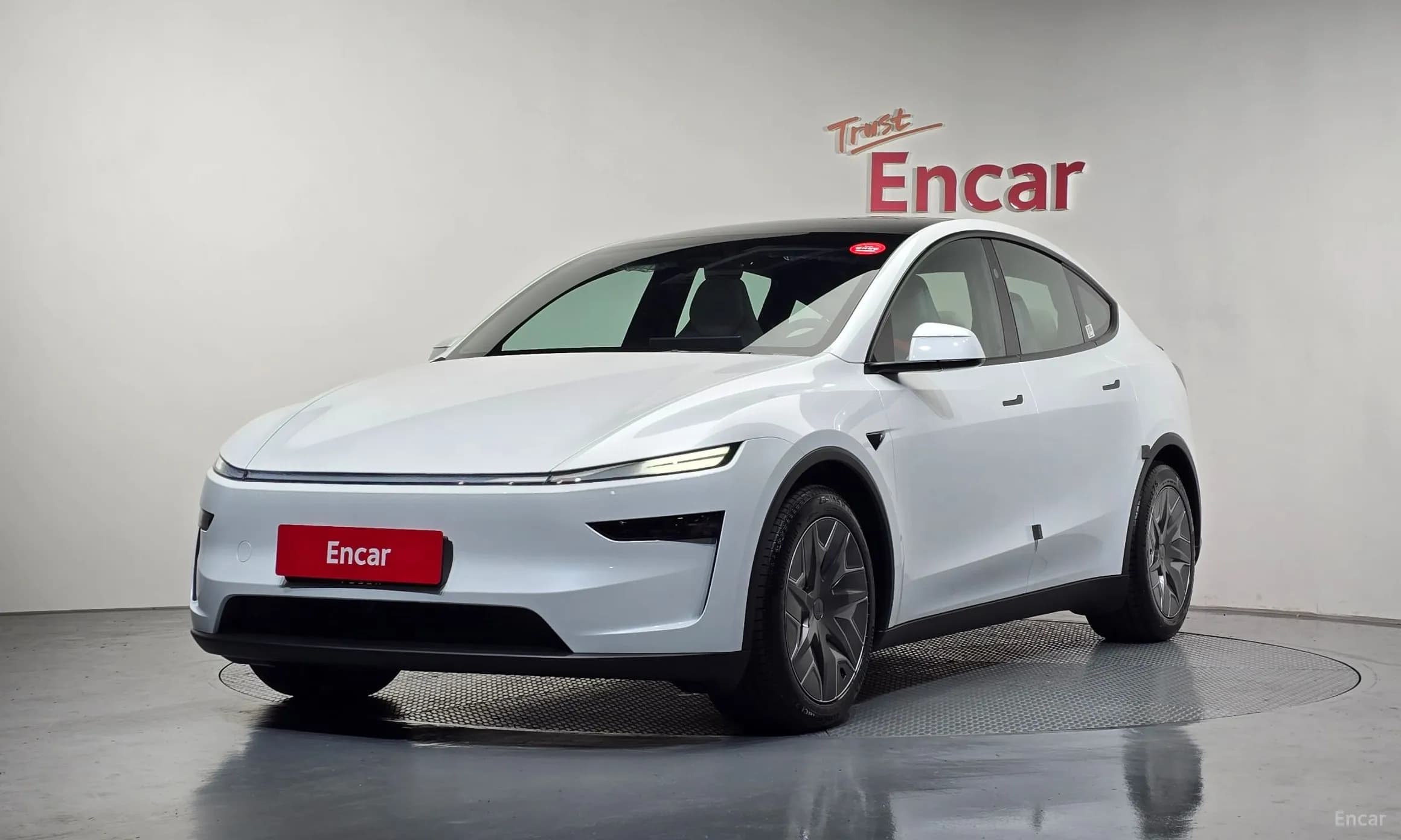 Model Y