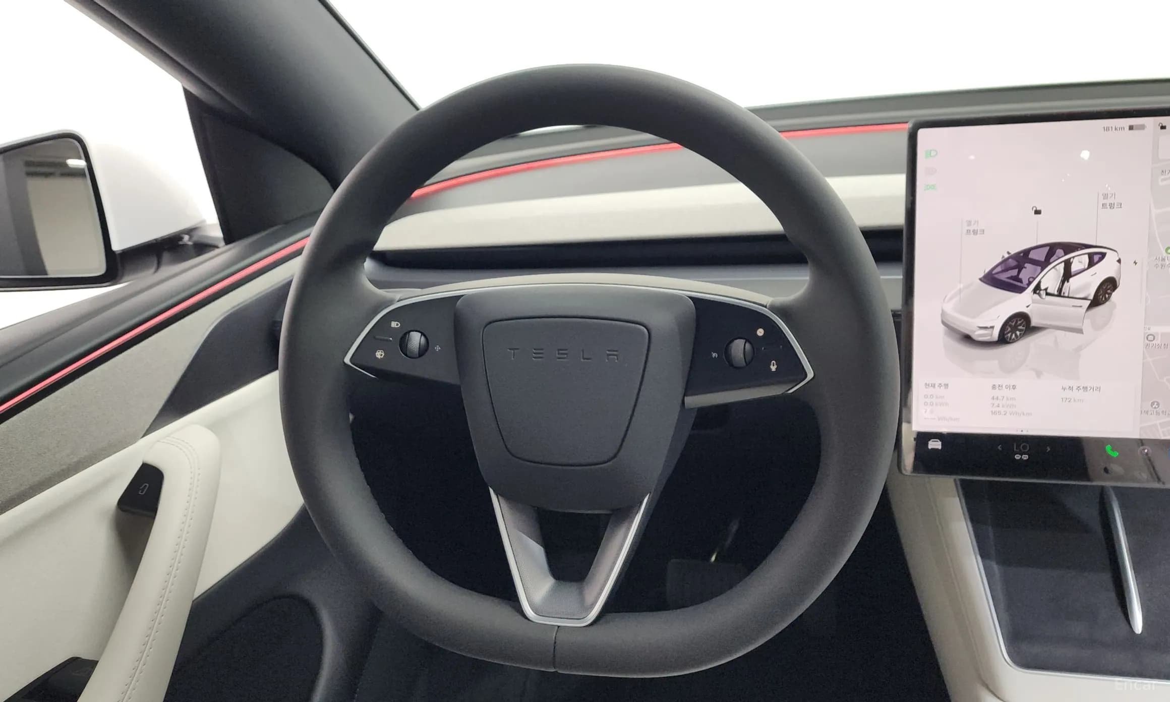 Model Y