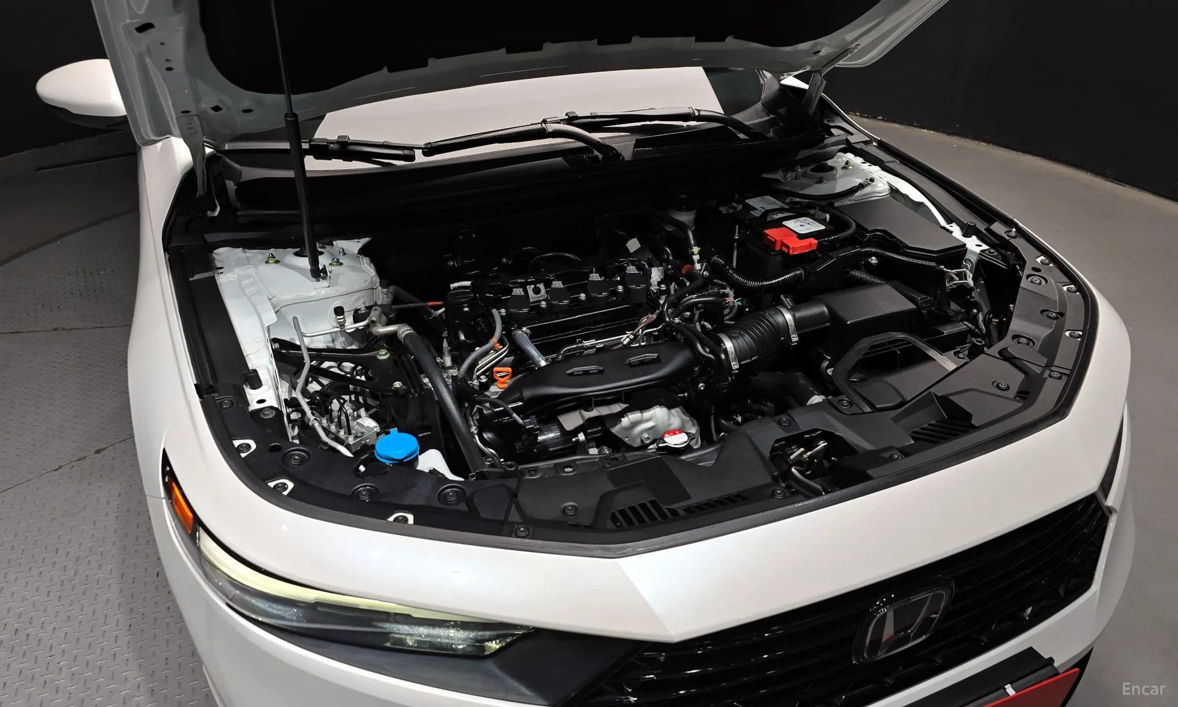 Accord 11th Generation