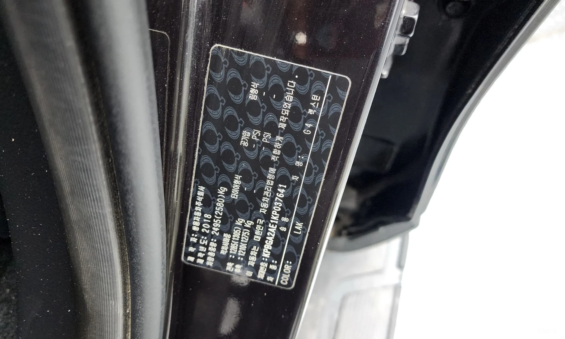 G4 Rexton