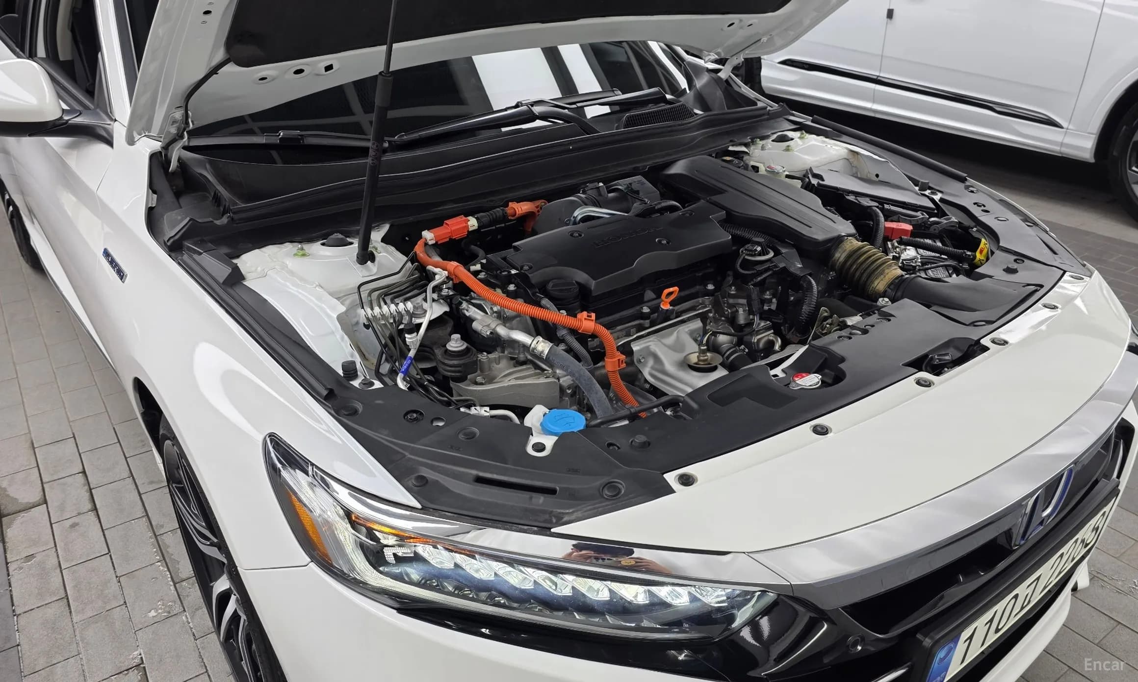 Accord 10th Generation