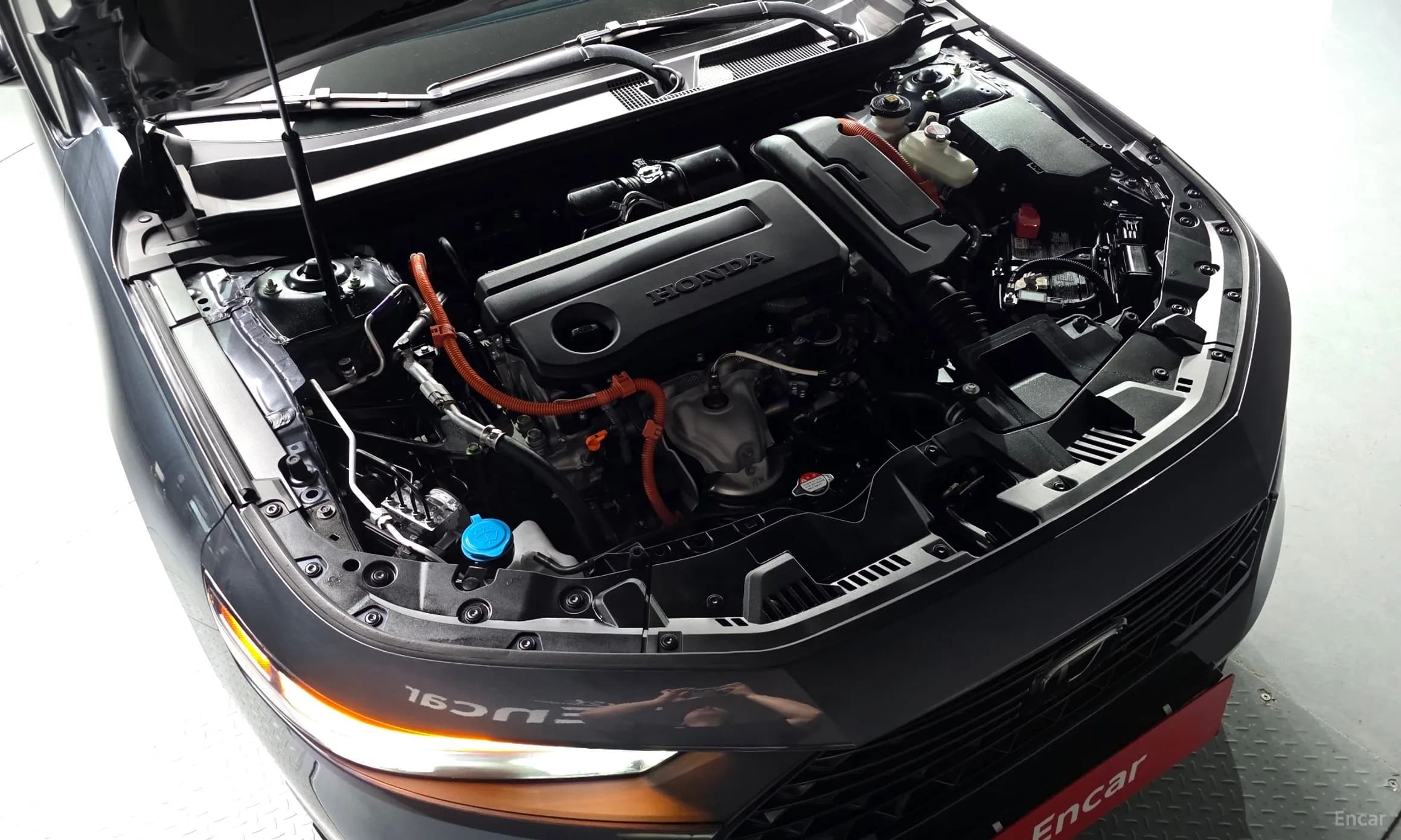 Accord 11th Generation