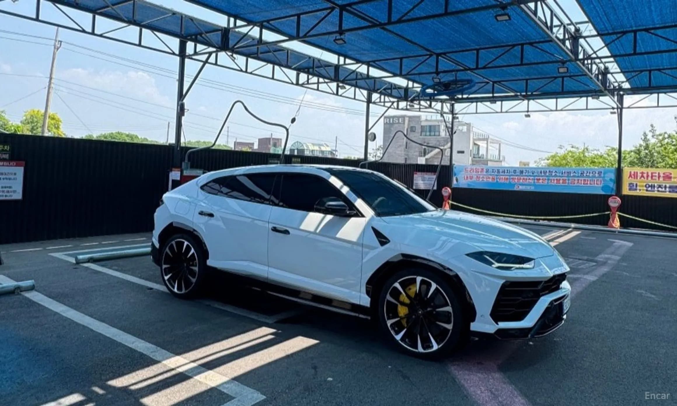 Urus