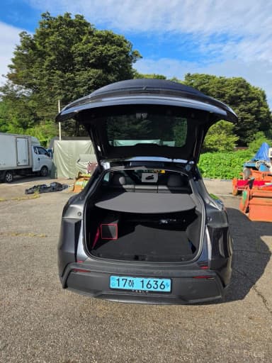 Model Y
