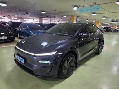 Model Y
