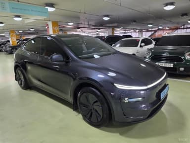 Model Y