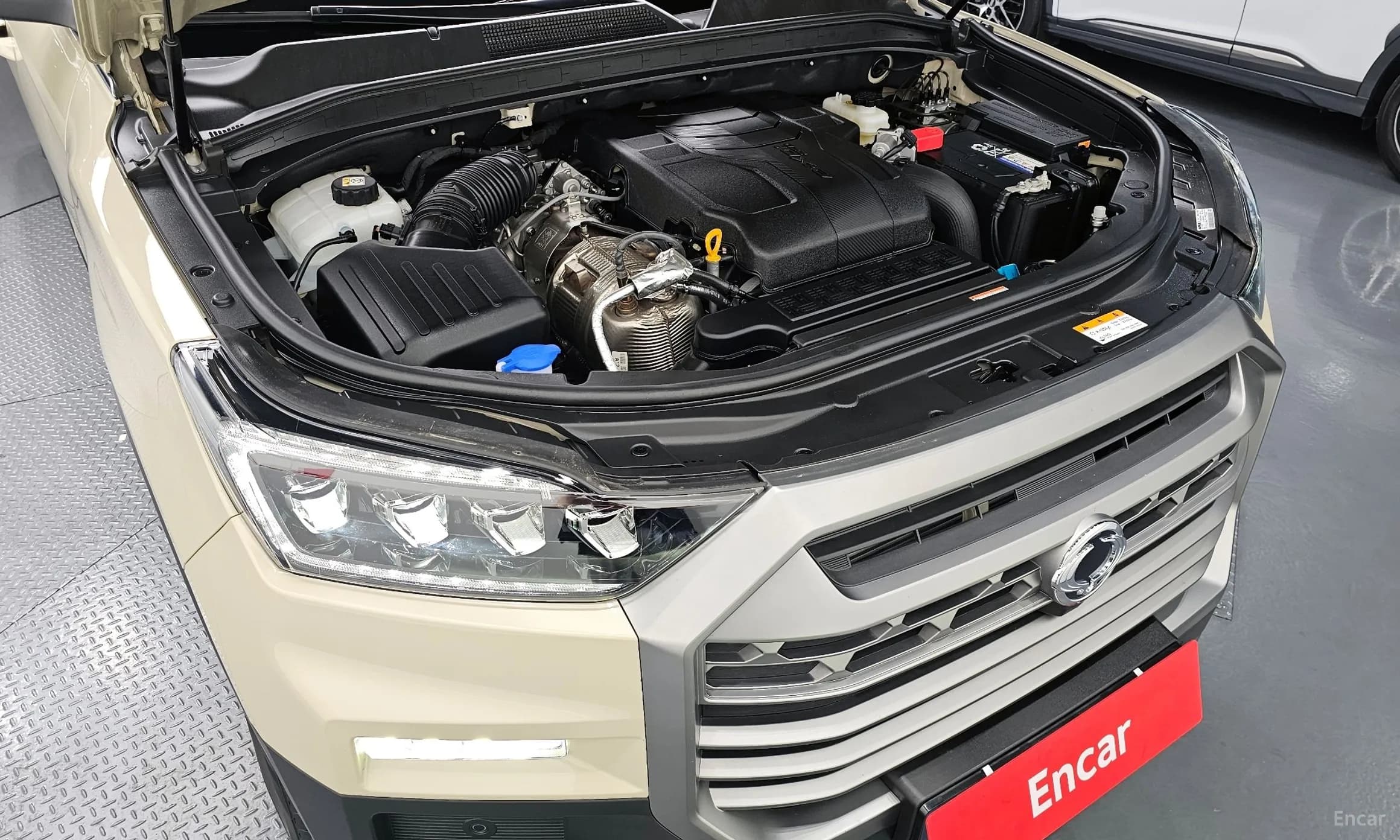 Musso Sport (Q250)