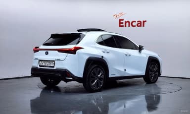 UX250h