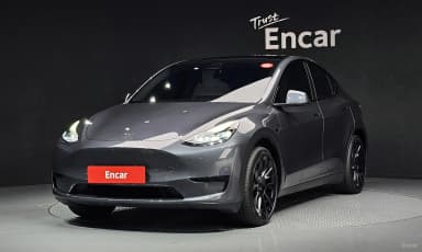 Model Y