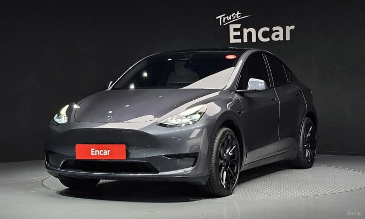 Model Y
