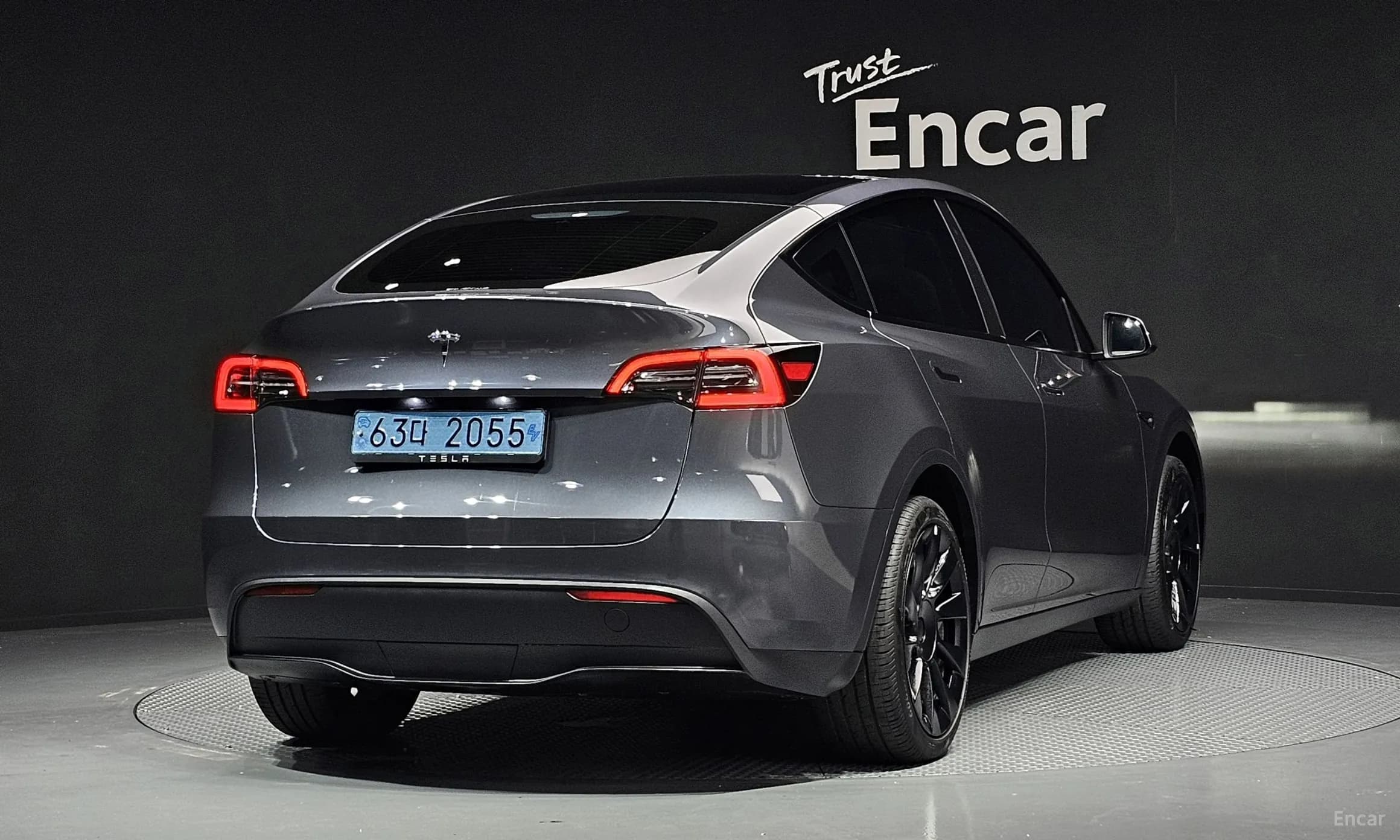 Model Y