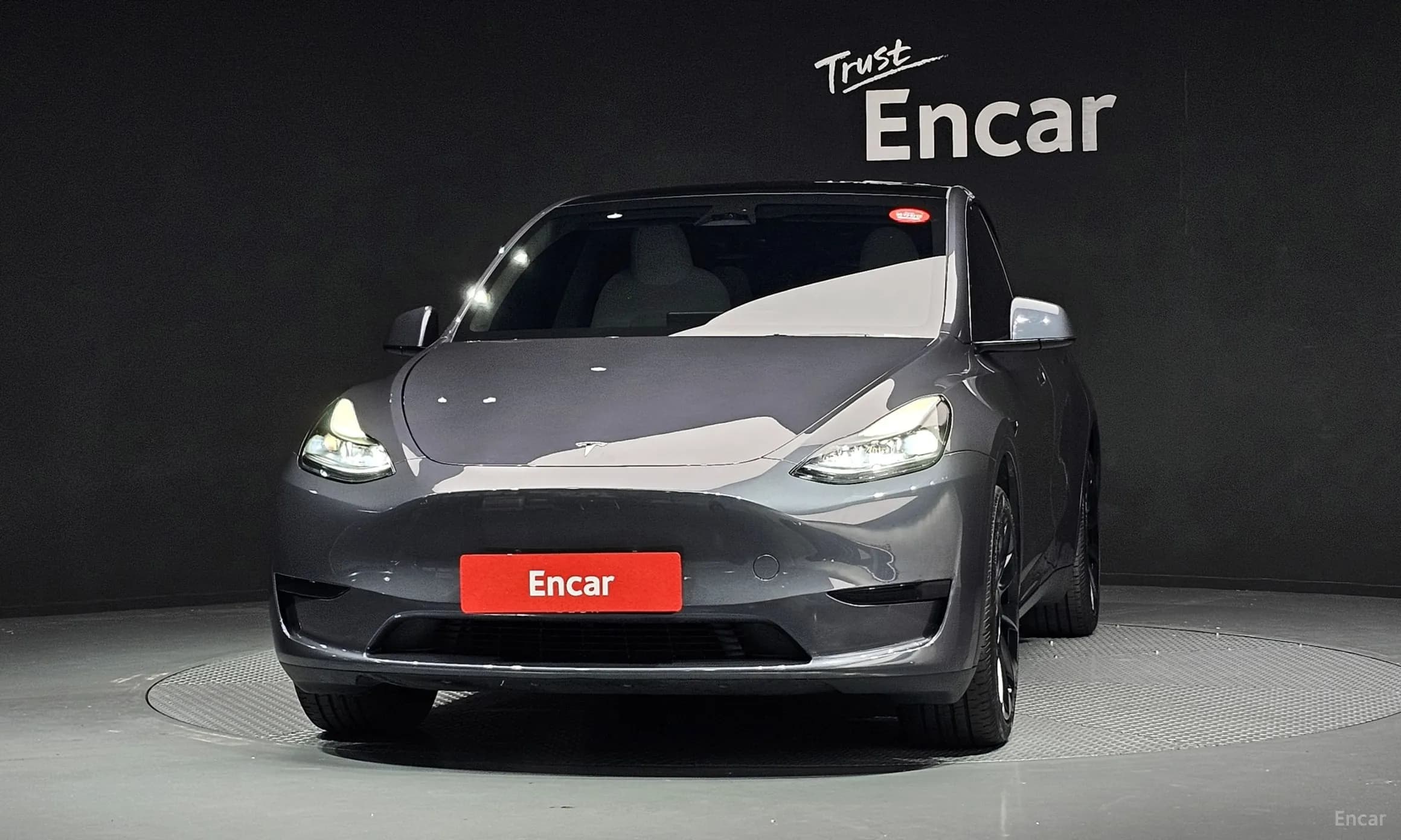 Model Y