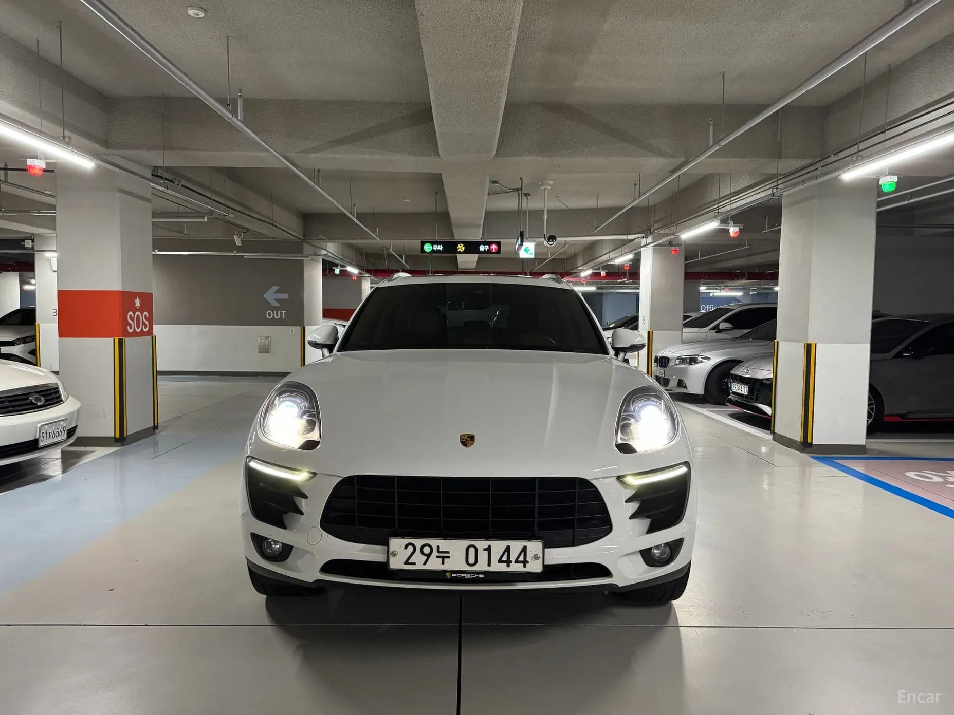 Macan