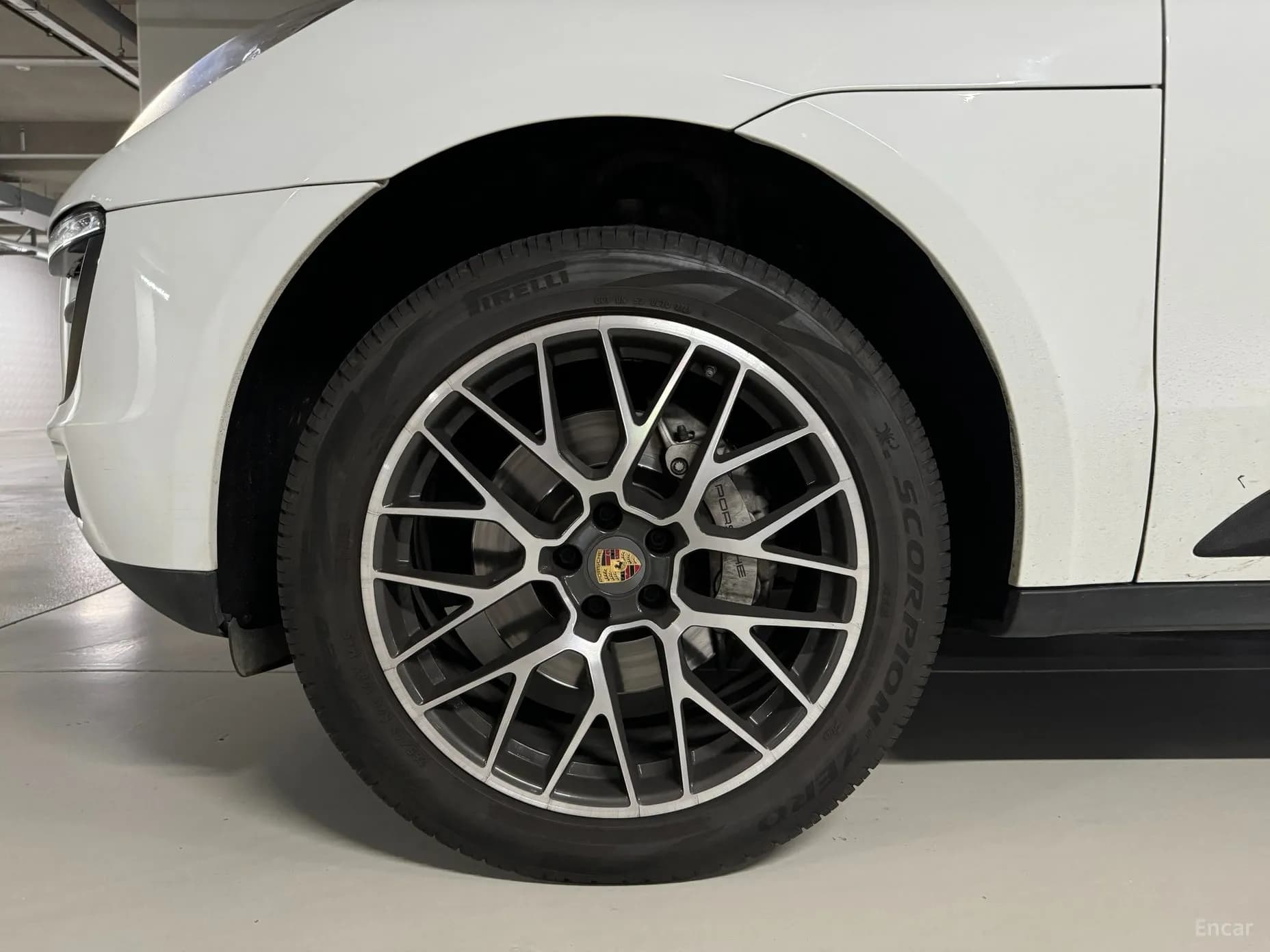 Macan