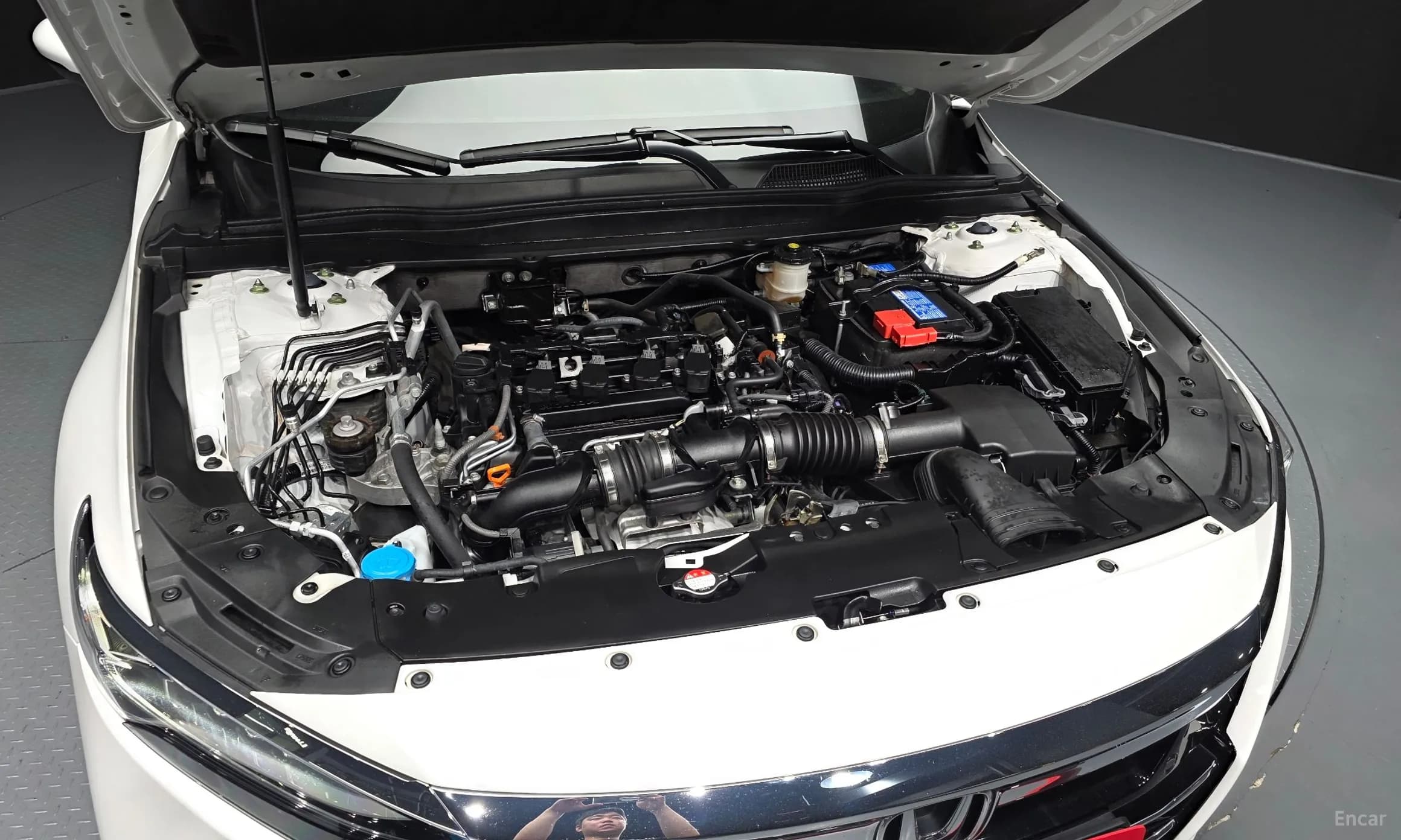 Accord 10th Generation