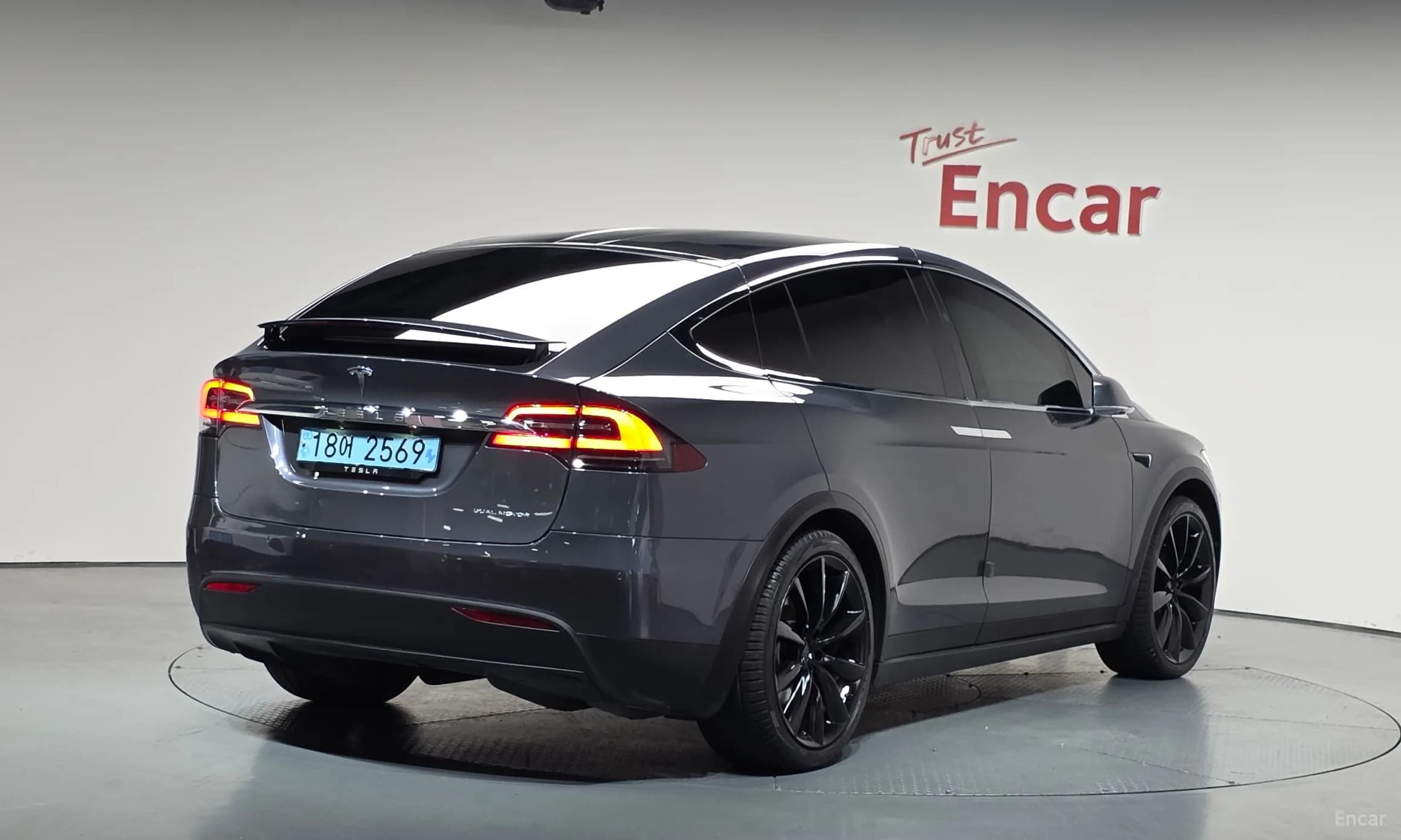 Model X