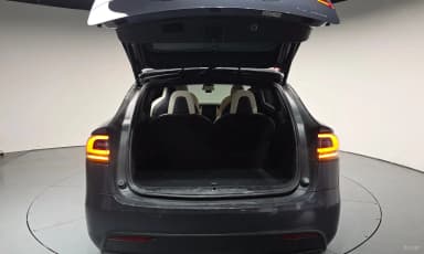 Model X